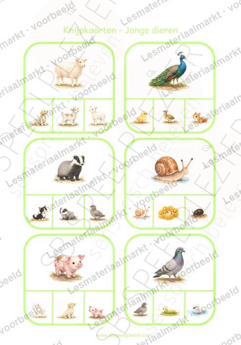 Preview 1 van Knijpkaarten Jonge Dieren