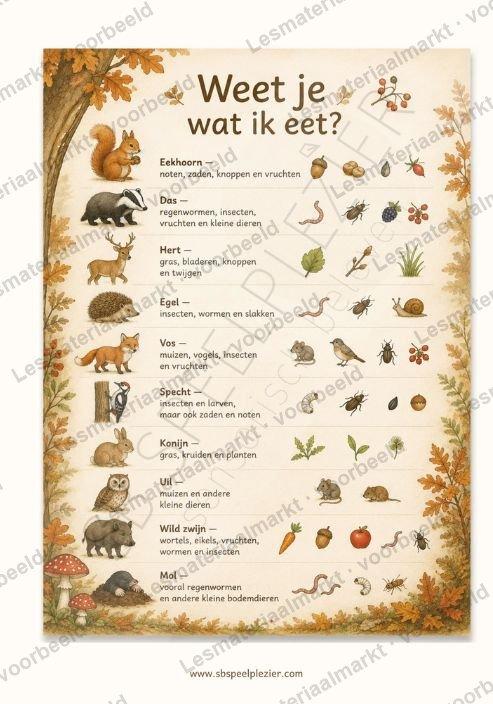 Preview 1 van Tellen Met De Bosdieren