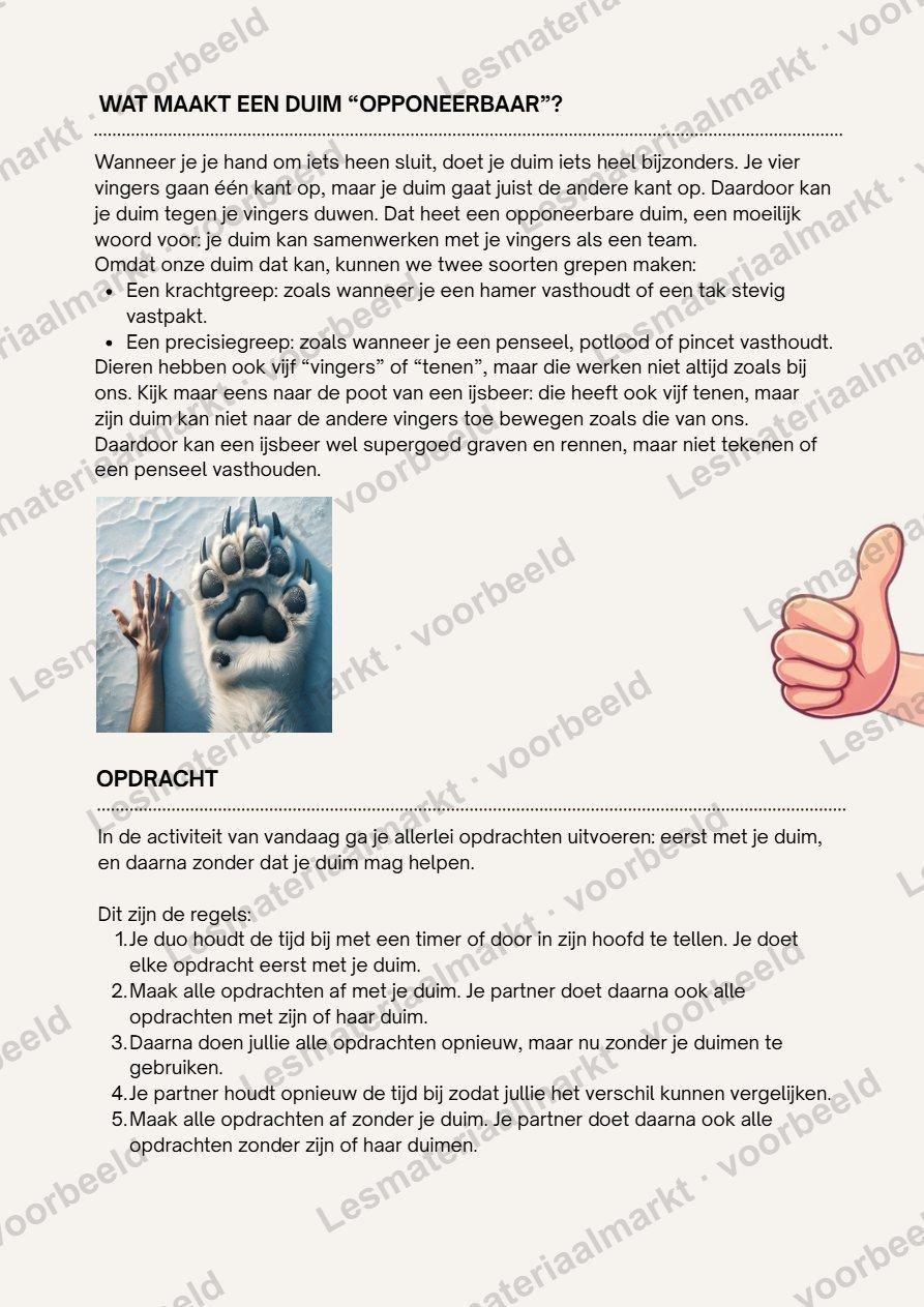 Preview van Leven Zonder Duim – Onderzoek & Ervaring