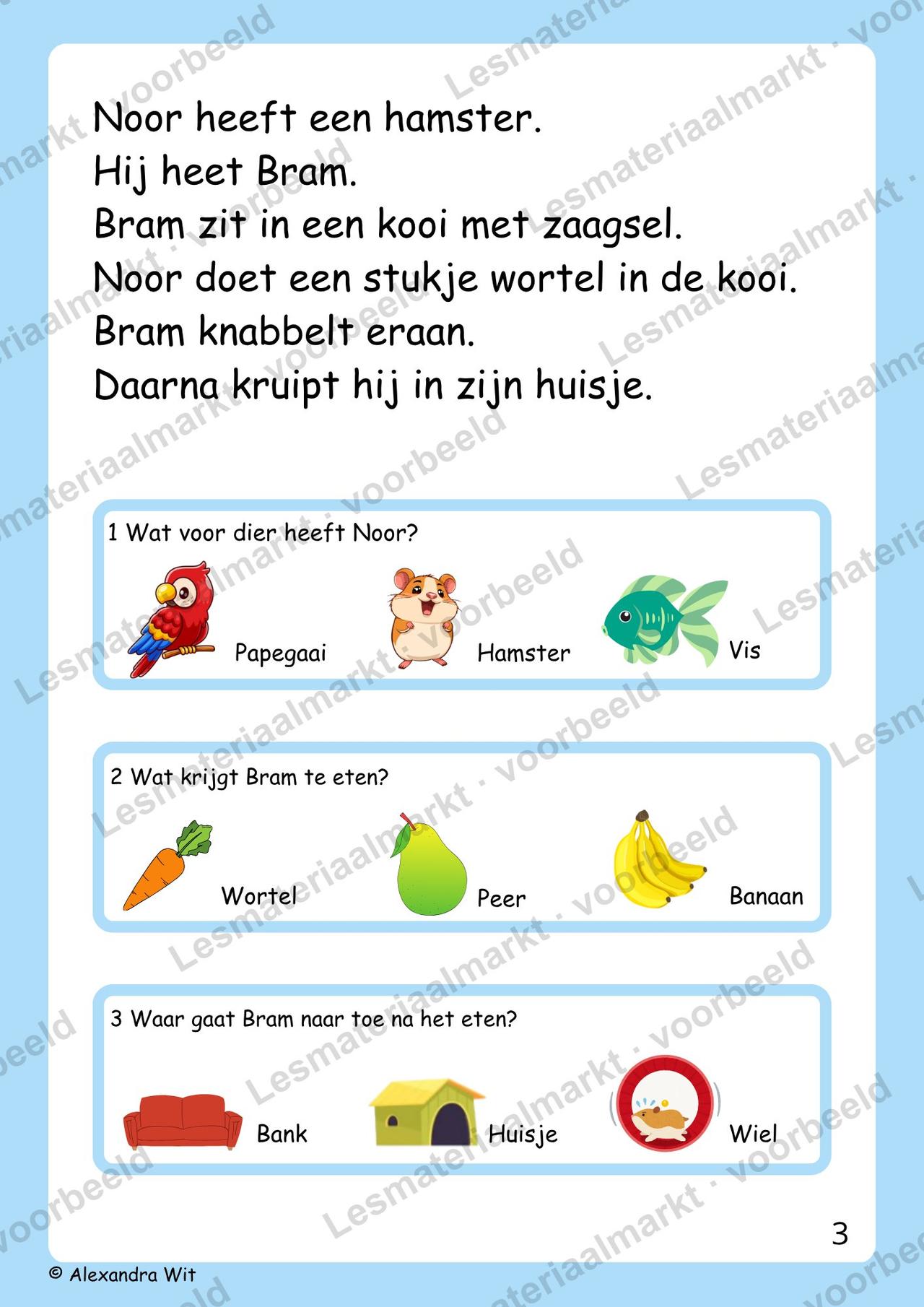 Preview 1 van Begrijpend Lezen - AVI 3